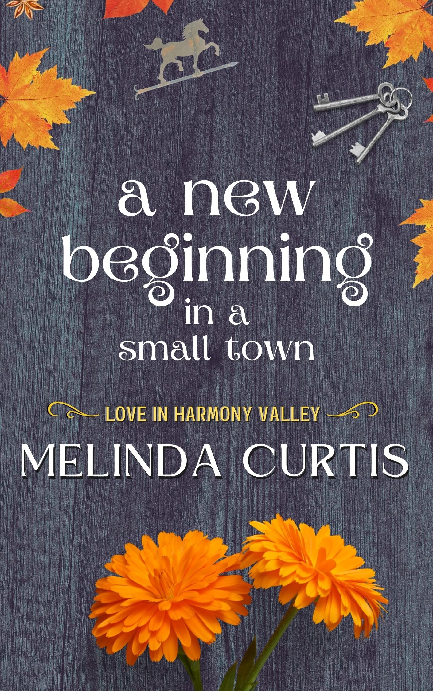 A New Beginning in a Small Town - Love in Harmony Valley, Book 3