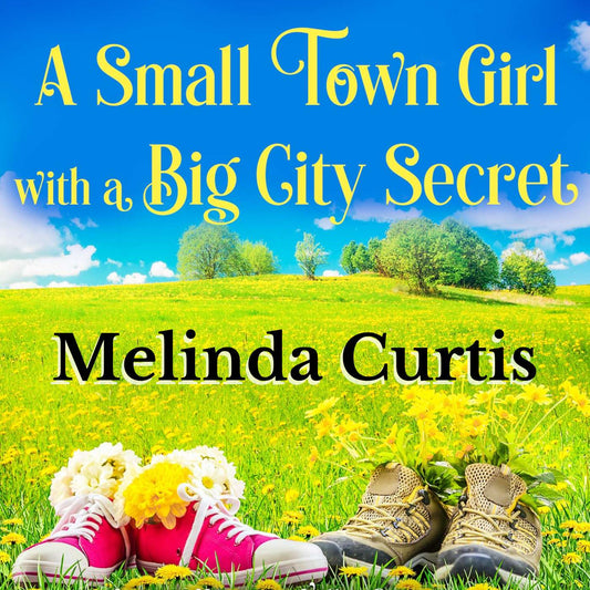 A Small Town Girl with a Big City Secret AUDIO Book (Love in Harmony Valley Book 9)